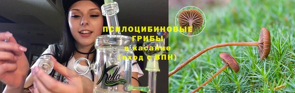 стаф Абдулино