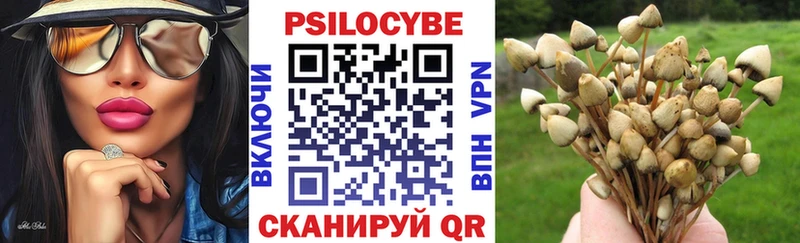Псилоцибиновые грибы Magic Shrooms Углегорск
