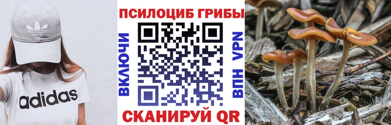 mega   где купить наркоту  Углегорск  Галлюциногенные грибы Cubensis 